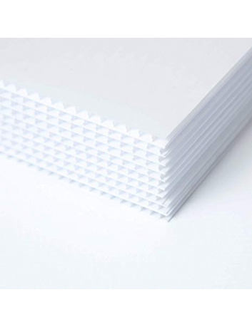 Lot de 10 panneau Alvéolaire Blanc  80 x 120 cm vierge